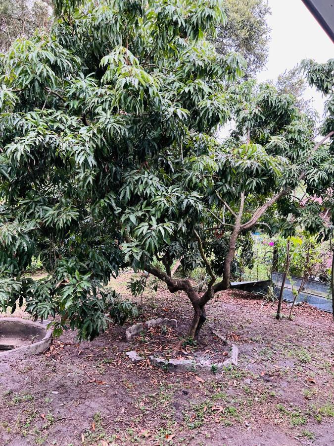 3Bdrm Fruit Tree Home Near Downtown Orlando Exterior photo